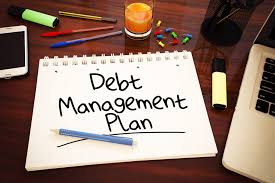 debt management plan cost